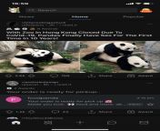 Pandas having sex then comes the delivery... from tamil village saree aunty fsiblog sex viesi rape videospregnancy delivery vid