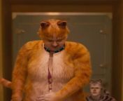 In the Cats XXX parody (2019), the actress that looks like Rebel Wilson takes off her... wait. This is the normal film? from xxx fix sexy commil actress janani iyer nu