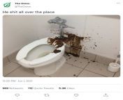 Saw my younger brother coming out of the bathroom, he had shit outside the toilet. When I tried to get a closer look, an Onion tweet flashed in front of my eyes saying &#34;He shit all over the place&#34; from pimpandhost iv onion