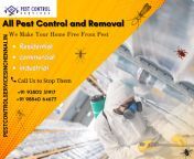 Pest Control Services in chennai, Termite Control Services in T Nagar &#124; Anna Nagar &#124; Vadapalani - Pest Control from rajbala nagar