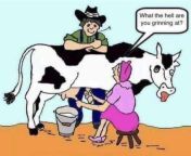Why farmers love milking cows from aunties milking cows porn