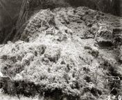 Machu Picchu before excavation, as found by Hiram Bingham in 1911. [828x608] from machu lax