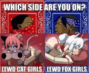 Cat Girls vs Fox Girls from viv thomas girls milk fox