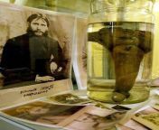 The preserved 12inch penis of legendary lover and mystic Grigori Rasputin from rasputin jar