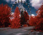 [50/50] A Farris wheel in a beautiful red forest (SFW) &#124; A bloody brain surgery close up (NSFW) from gay0day twink boy scouts butt banging in a beautiful forest