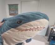 Shark from yeni shark onlyfans