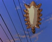 In My Neighbor Totoro (1988) the Catbus is shown having testicles. This is because in Japanese culture testicles are traditionally seen as funny. from my neighbor totoro pornx myanmar fuck sleeping