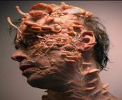 Responsible for makeup design for HBO series &#39; The last of Us&#39;, Barrie Gower and his team were tasked with creating designs showing the various stages of a fungal infection on human beings. One of the stages is depicted here. from sylvia barrie
