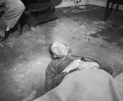 The body of Heinrich Himmler lying on the floor of British 2nd Army HQ after his suicide on 23 May 1945. [799x800] from hq 03