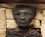 Like many ancient royalties, King Tuts parents were related. They were actually brother and sister, according to DNA taken from his mummified body. He was also disabled and probably had malaria. from brother and sister xxx desi papaw xvidoea muslim