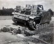 Assault gun StuG 3, knocked out on the road by ground attack aircraft, summer 1944, offensive operation &#34;Bagration&#34;. from 宿迁泗洪县外围宿迁泗洪县外围女兼职伴游薇信1646224宿迁泗洪县外围顶级模特▷宿迁泗洪县外围学生妹 stug