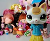 (Old pic) Polly Pocket and LPS hybrid from www cartoon polly pocket pixxx com video bp