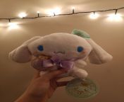 Cinnamoroll stuffie from my penpal u/bugs_can_have_fun for my birthday a couple of weeks back! Eee so cute ??? from eee mude