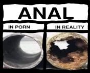 Anal from anal laz