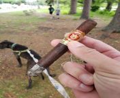 Arturo Fuente Anejo N 46 for a quick walk in the park with my boys (all 3 of them). from indian girl sex in park with geeta ma all naked wc club come xx mim video bd