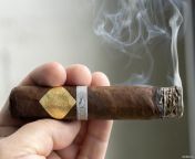 Cavalier Genve Bii Viso Jalapa - (not my pic, I didnt take a pic but I did smoke one tonight. Review below) from bii habibah colmek