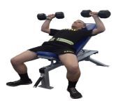 Incline Dumbbell Chest Press. Is it a horizontal or a vertical push exercise? from chest press