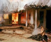 The body of a woman next to the house burned in the My Lai massacre during the Vietnam War from vietnam