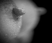 Wet Nipple Close Up in Black and White?? from desi wet nipple