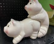If these pigs finding love dont make you happy, nothing will. Yes they are piggy banks and they are banking on a good time. &#36;12 for the pair. from banking mesum