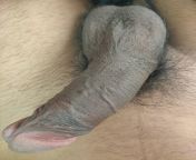 Semi-Hard Black Cock??(Black is always Better????) from cock black