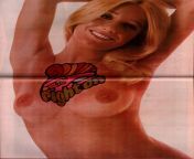 Suzanne Somers centerfold- 1970s from suzanne mcbain