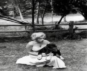 Marilyn Monroe and her Basset Hound Hugo. My fathers mother looked like Marilyns twin when she was younger. Absolutely stunning! from marilyn monroe nudes fake