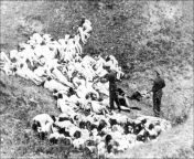 [History] Naked Jewish women being executed by members of the German Gendarmerie and Ukrainian Schutzmannschaft, Ukraine, 1942. from naked nigerian women