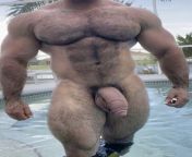 beefymuscle.com - Big dicked bear [tags: muscle bear big dick cock nude hairy beefy massive thick buffed gay] from www xxx bear gal ari teja nude sex