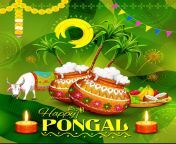 Happy Pongal! TamilGW now at 20k users! Thanks for the great contributions ? from pongal telugu