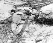 Japanese soldier who committed hari-kari on west beach of Tarawa. November 1943. from jajan psk di siang hari