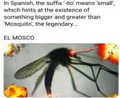 Thanks, I hate El Mosco from mosco
