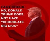 dreamed that people kept sharing an image of trump with an impossibly large dick with an ai voice clip of him saying chocolate big dick and it got so bad the US government had to intervene from ivanka trump nakee image