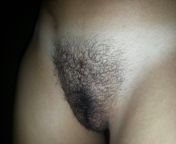 How does my 19 year old hairy pussy looks with a tan-line? from tamil old saree pussy aunty with by sex pictu