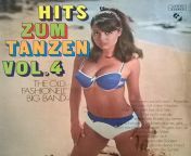 The Old Fashionell Big Band- Hits Zum Tanzen Vol.4 (1975) from 1975 vidpos