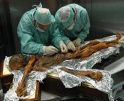 Meet the Iceman tzi, the Oldest Preserved Human Being Ever Found (5,300 years old) from wapdam sex with human being