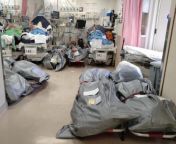 Bodies Piling up next to patients - confirmed by Dr Sara Ho - picture provided by Dim Sum Daily (picture taken in a hospital in Jordon, Hong Kong) from provided by pornvll net