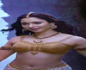 Tamanna Bhatia navel in gold coloured blouse from tamanna mulai co in