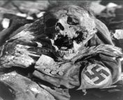 Corpse of man with swastika arm band in Dresden, Germany, after the fire bombing during World War II in which 250,000 people died.... (1945) NSFW from swastika mukherjee breast scene
