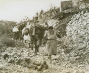 A woman walks down a path as she leads her mule past the body of a dead soldier; Lagone, Italy; October 1943. Note the American soldiers in the background observing the civilians. from jazmin walks