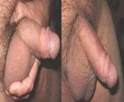 My favorite two images of my dick and balls... from xxx images of shraddha kapoor and barun dhawan