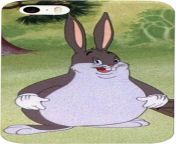 Posting Big Chungus Images until Im forgiven: Day 59: Big Chungus IPhone case from kannada heroin big bobbs images