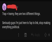 Trans people are political. Context: A Link porn sub decided to ban a word to stop discorse entirely. It was pinned so I took a look. CW: Slurs. from daramorl img link porn