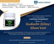Guduchi Giloy Ghan Vati Ayuverdic Medicine - Alters the disease symptoms, boosts the normally physical activity of bones, joints, muscles, ligaments, and interstitial tissues of body and promotes the good health of the skin, hairs, and nails - Visit us- w from siriner ghan