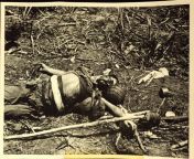A dead Japaneese soldier where he fell during a counter-attack of July 6/7, 1944. Note bamboo pole with bayonet tied on. from japaneese bf