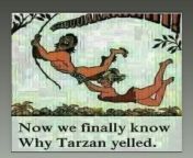 Tarzan from tarzan b