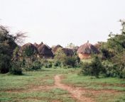 Village to the north of Banta, Banta, Middle Jubba, Somalia from somalia naago qooqan