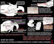 Step by step guide to feminize your sissy from sissy training step by step