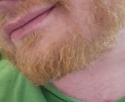 43, Cum for Daddy... Are you Daddy&#39;s Good Boy? Want JOI? Need permission to cum? Face is a must. Hung ginger Dom Bear Daddy with a sexy voice for chaser Jocks, Bros, Otters, and Twunks who want to show off and cum with face. Send face, SC @bleakchimer from missax face