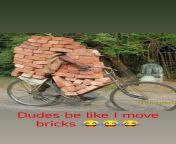Dudes be like I move bricks ? Sit-down you don&#39;t move shit. Im a real pusher and king pin ?? from indian move xnxxichapanay kamapis
